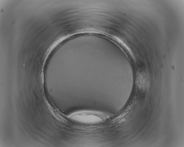 X0000087701372200705181809