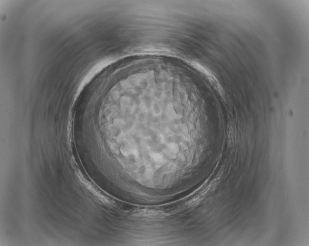 X0000087701374200705181809
