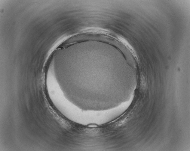 X0000087701376200705181809