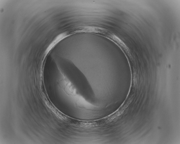 X0000087701378200705181809