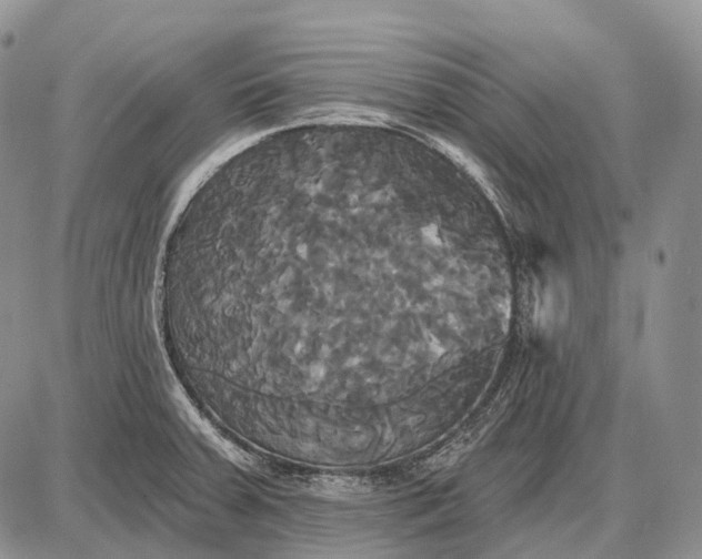 X0000087701379200705181809