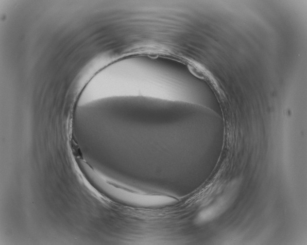 X0000087701383200705181809