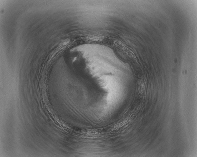 X0000087701393200705181808