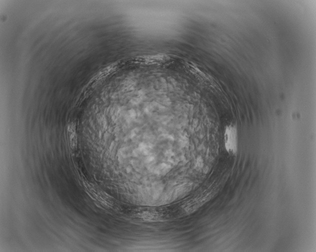 X0000087701395200705181808
