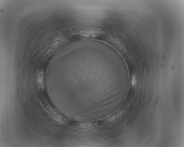 X0000087701396200705181808
