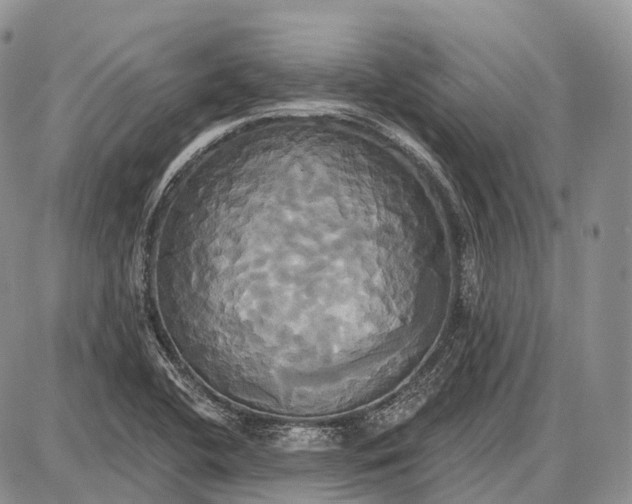 X0000087701412200705181808