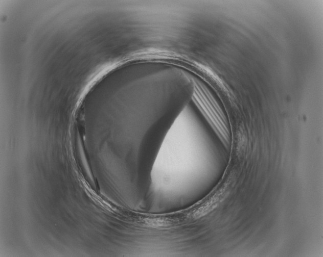 X0000087701413200705181808