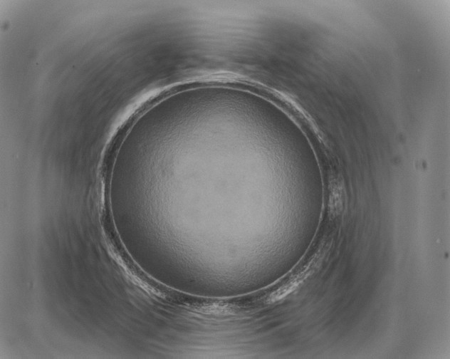 X0000087701414200705181808