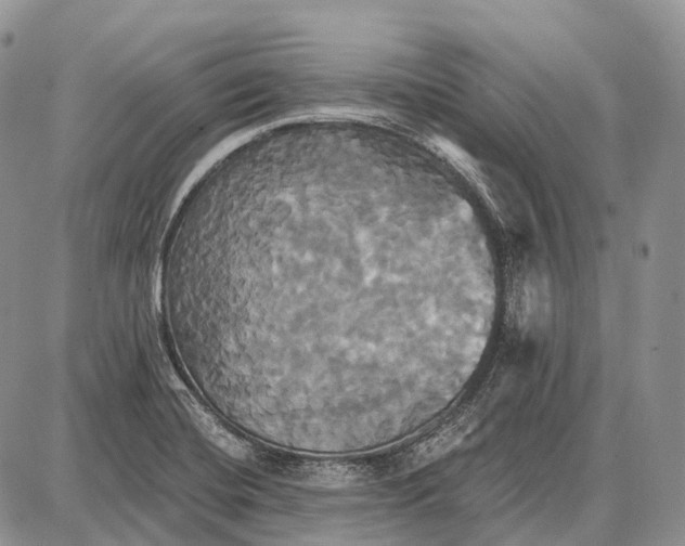 X0000087701420200705181808