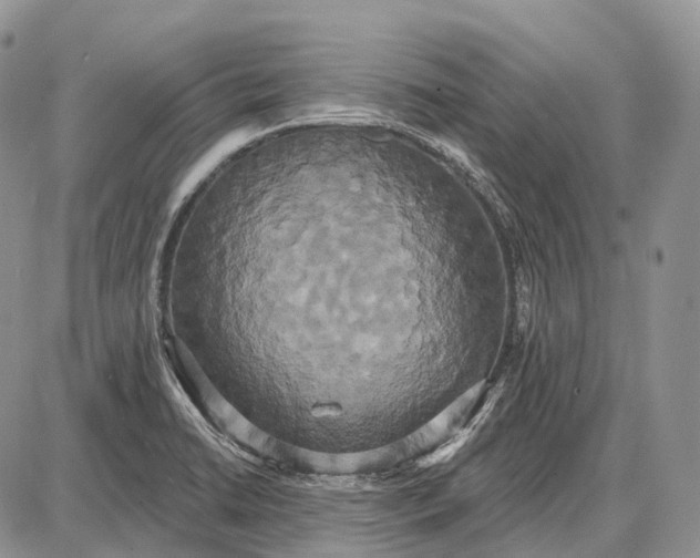 X0000087701422200705181808