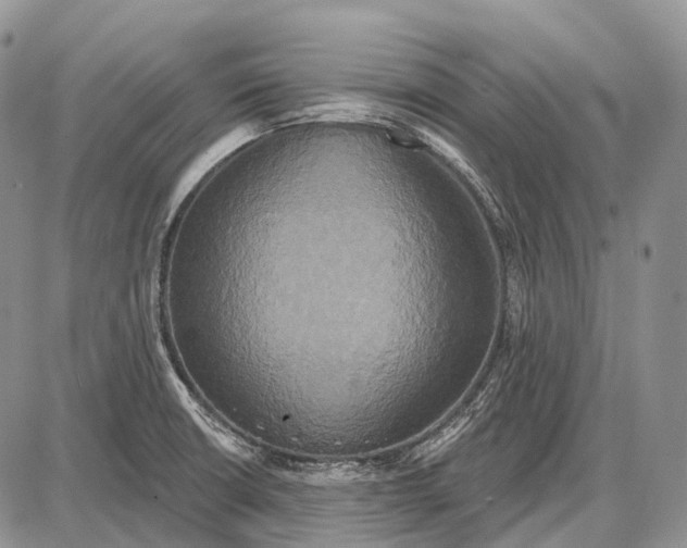 X0000087701426200705181808