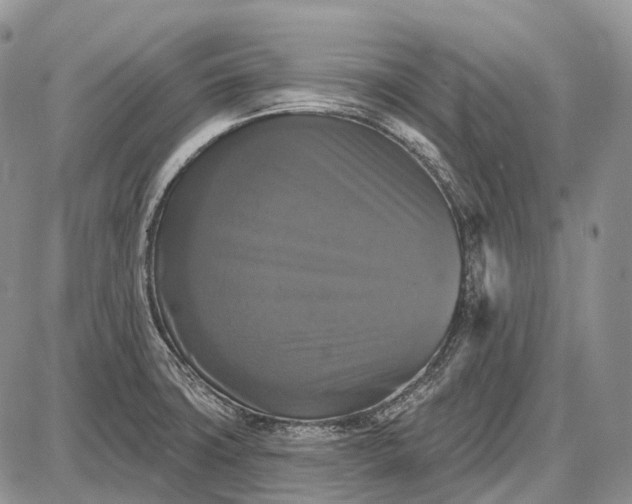 X0000087701427200705181808