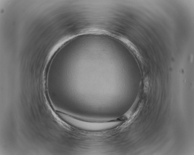 X0000087701430200705181808