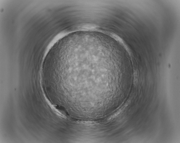 X0000087701432200705181808
