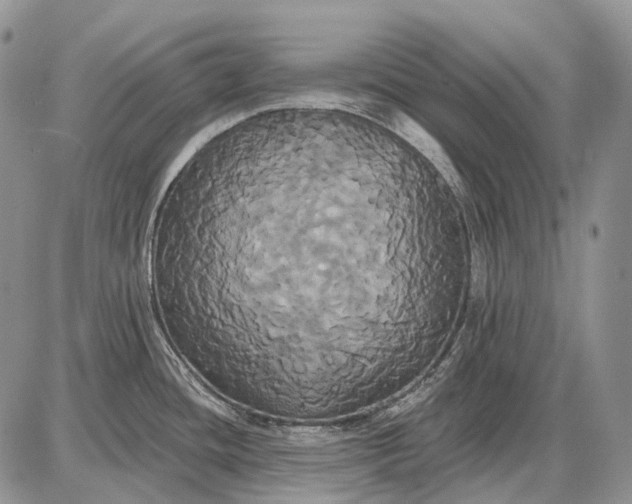 X0000087701436200705181808