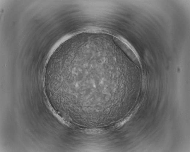 X0000087701437200705181808