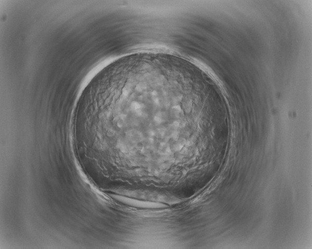 X0000087701440200705181809