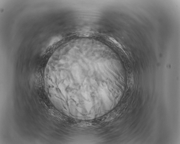 X0000087701446200705181808