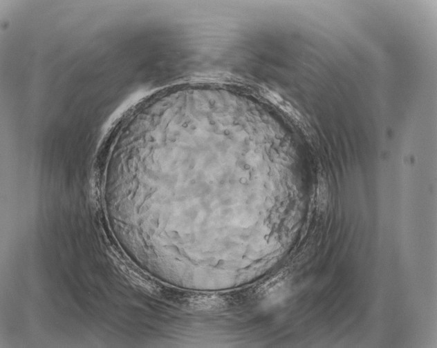 X0000087701454200705181808