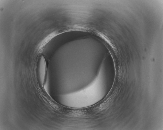 X0000087701455200705181807