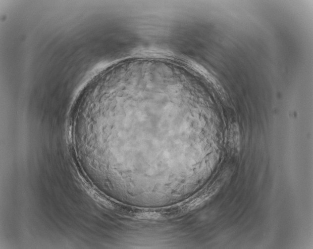 X0000087701462200705181807