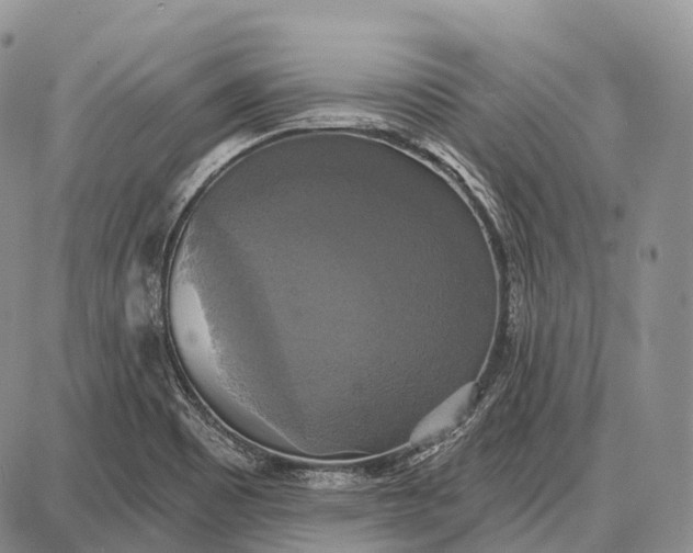 X0000087701465200705181807