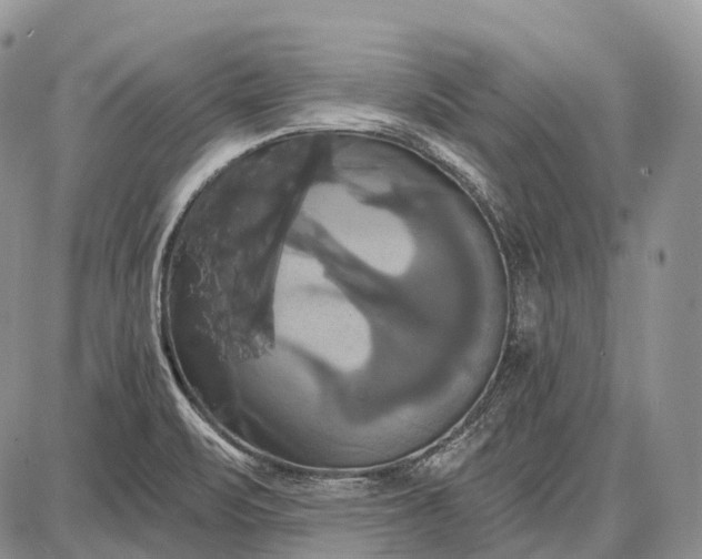 X0000087701471200705181807