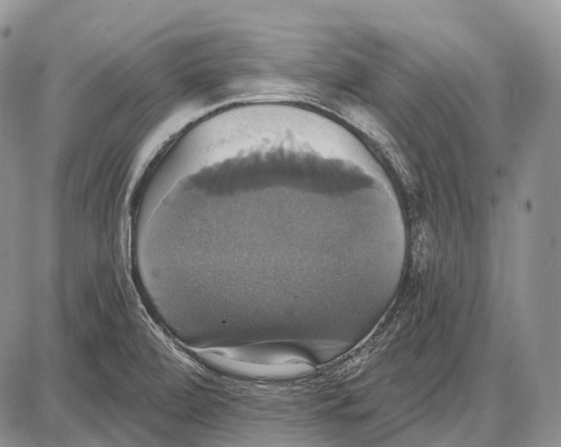 X0000087701472200705181807