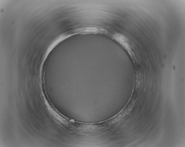 X0000087701475200705181807