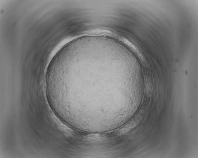 X0000087701478200705181807