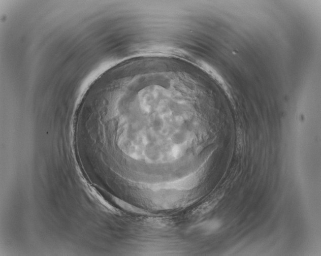 X0000087701480200705181807