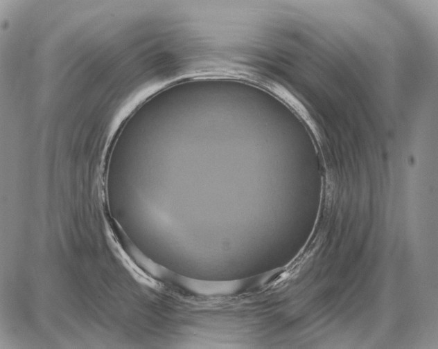 X0000087701485200705181807
