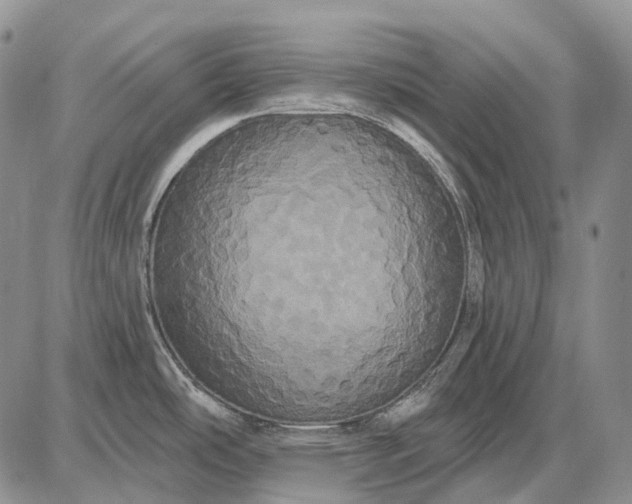 X0000087701486200705181807