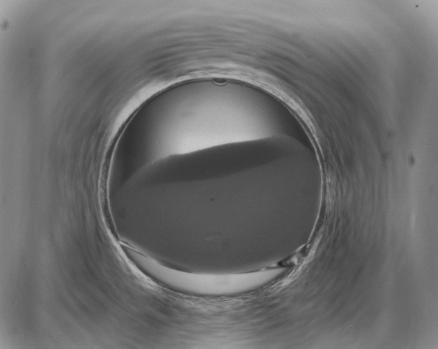 X0000087701533200705181807