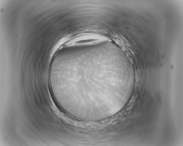 X0000087700003200705251745