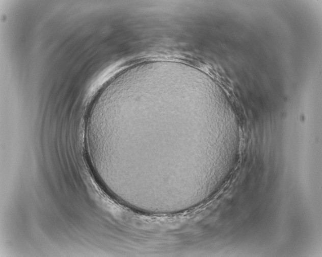 X0000087700005200705251745