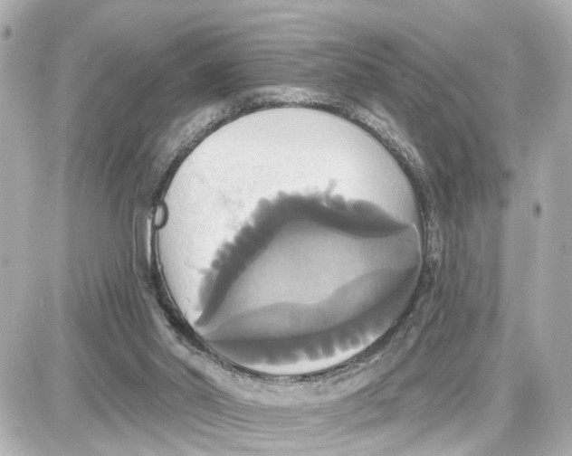 X0000087700014200705251745