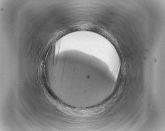 X0000087700018200705251745