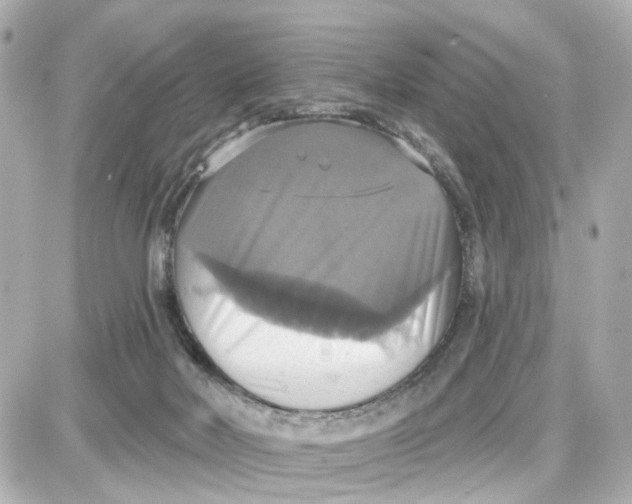 X0000087700026200705251745