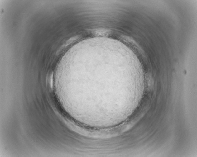 X0000087700028200705251745
