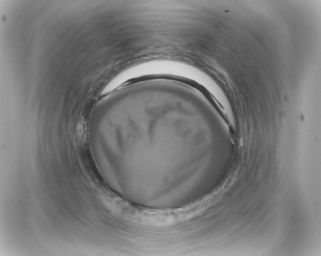 X0000087700029200705251745
