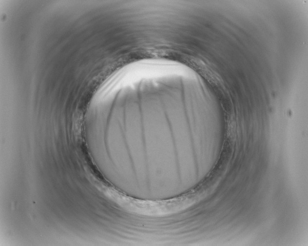 X0000087700030200705251745