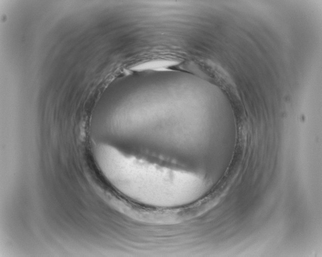 X0000087700032200705251744