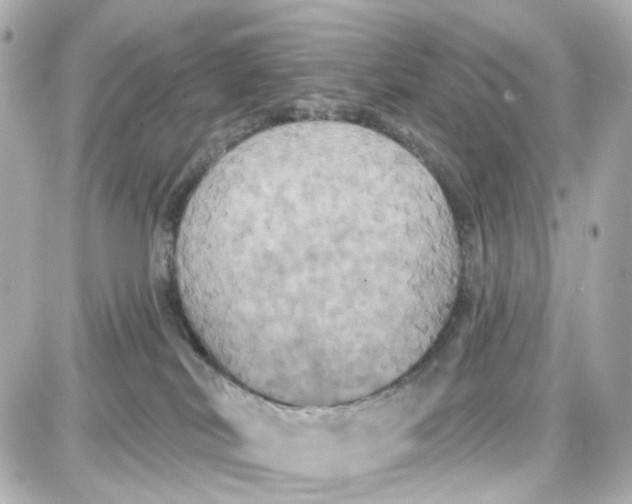 X0000087700038200705251744