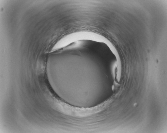 X0000087700039200705251744
