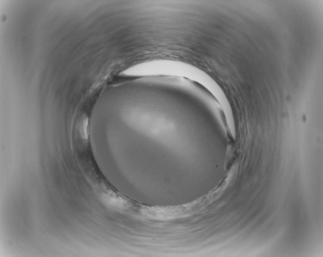 X0000087700041200705251744