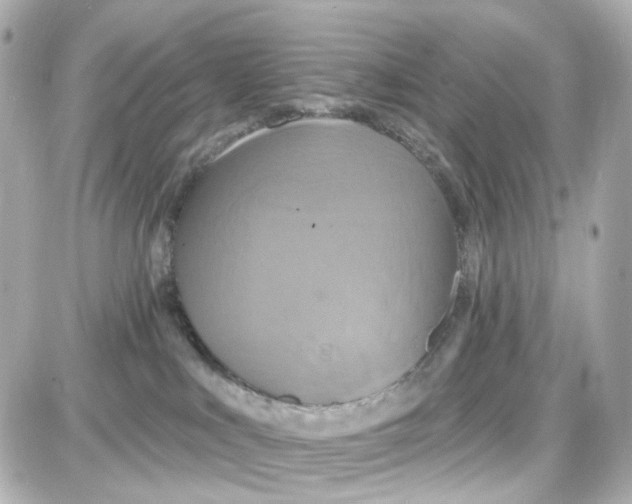 X0000087700043200705251744