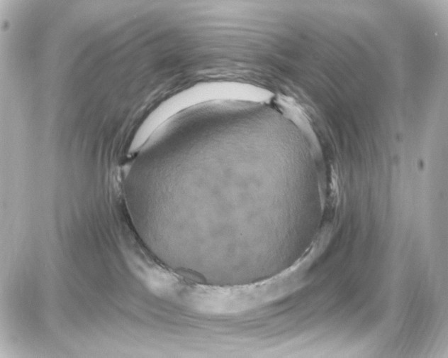 X0000087700045200705251744
