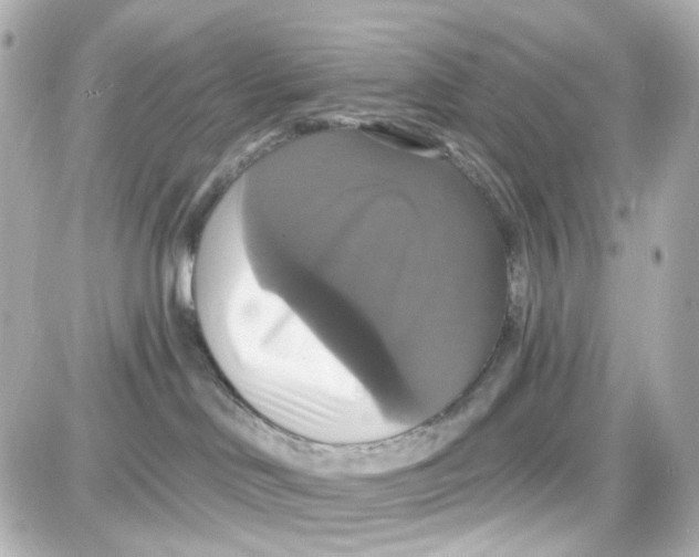 X0000087700046200705251744