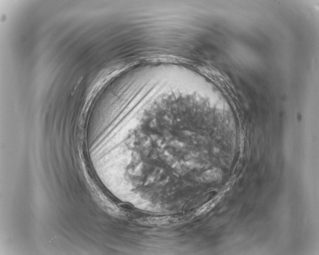 X0000087700049200705251743